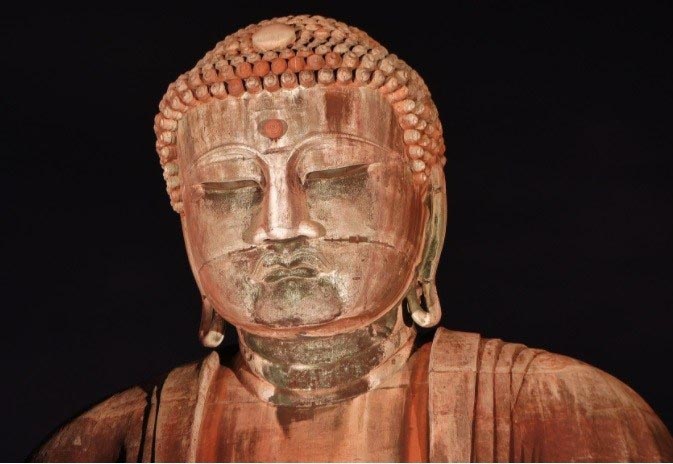 Rare Kamakura Summer Night Illuminations 2017