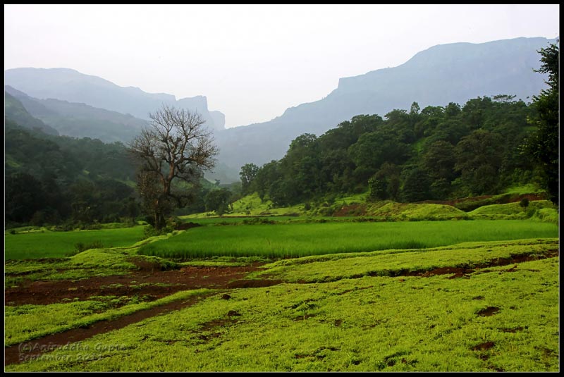 Ratangad: Hike To The Jewel Fort