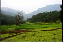 Ratangad: Hike to The Jewel Fort