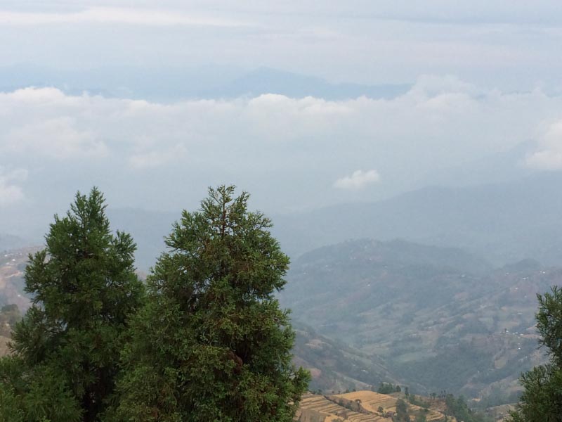 Re-springing My Steps