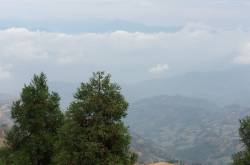 Re-springing my steps