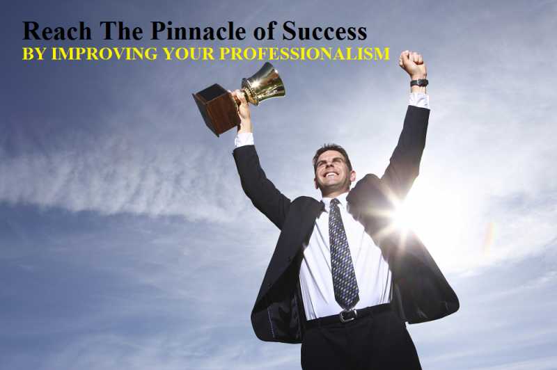 Reach The Pinnacle Of Success By Improving Your Professionalism