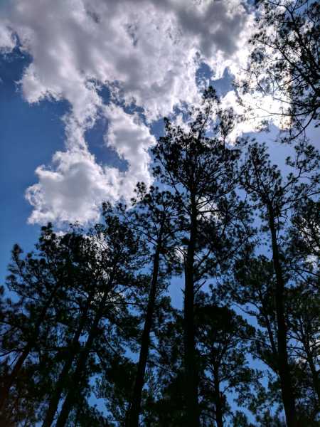 Reaching For The Sky - Left, Write, Left...