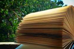 Reading is my escape.