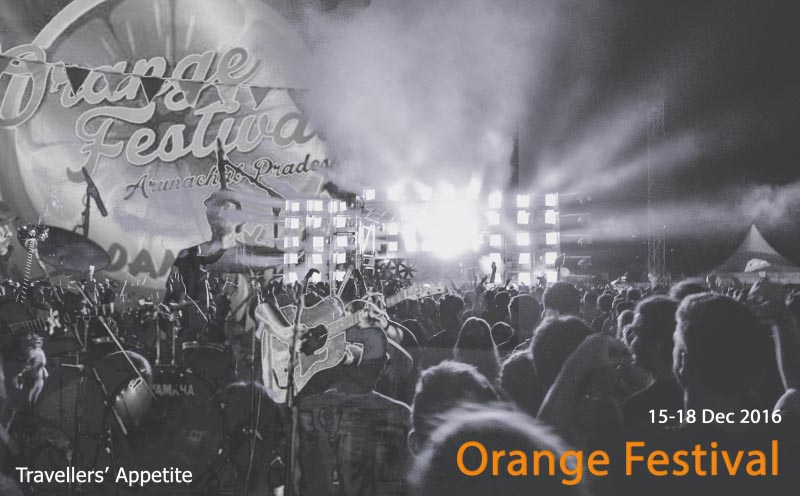 Ready To Plan Your Next Adventure ?