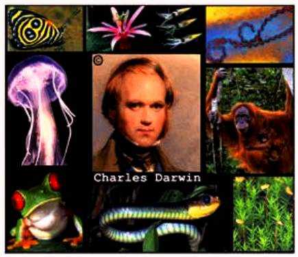 Realisation, Illumination And Evolution