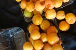 Recipe - Apricot |Khubani ka Sharbat