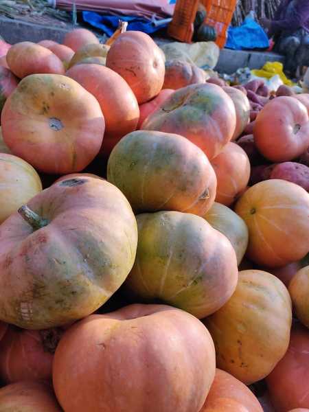 Recipe: Seven Vegetables Curry (Ezhukari Kootu) For Sankranti - Rashminotes