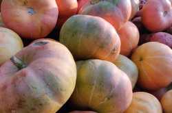 Recipe: Seven vegetables curry (Ezhukari Kootu) for Sankranti - Rashminotes