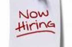 Recruiting for Startup: My first impressions