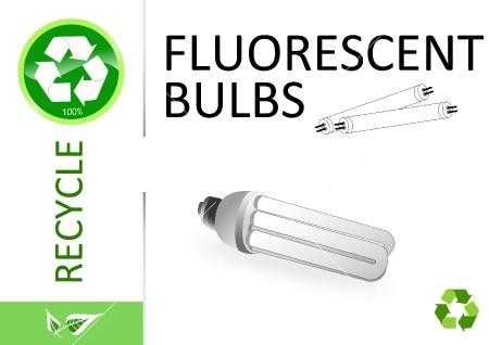 Recycle The Bulb