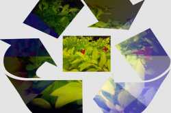 Recylcing our lives....