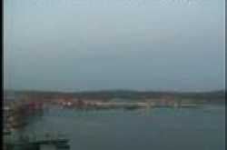 Red Bull Ad Campaign