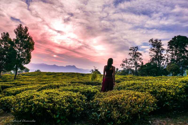 Red Hill Resort: This 100yr British Bungalow Is The Perfect Solution For The Weekend