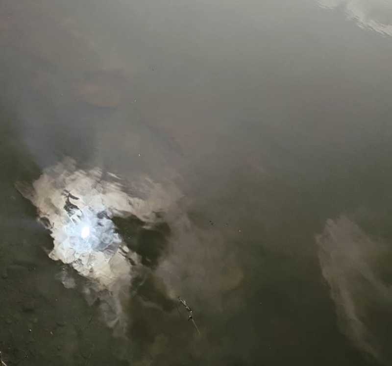 Reflection Of The Creator