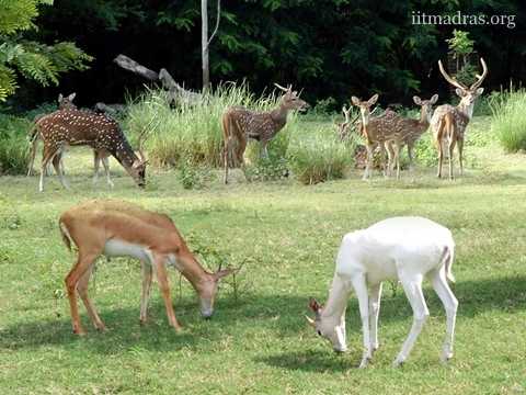 Reflections Of An Ex-freshie