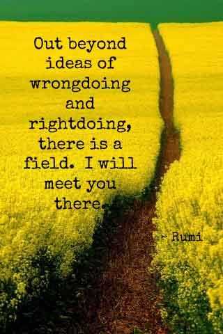 Reflections Of An Ordinary Life.