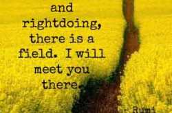 Reflections of an ordinary life.