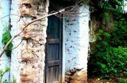 Remembering Roots ~A Trip to my paternal GrandParent\