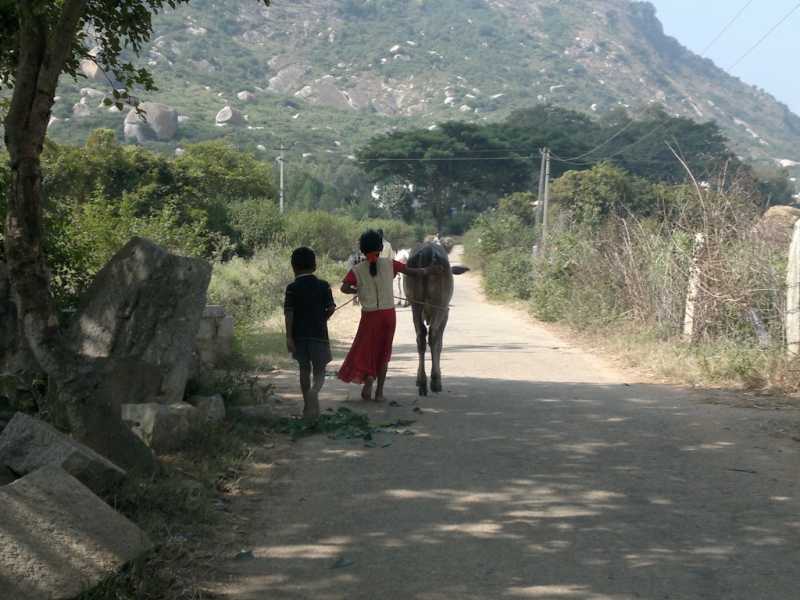 Remembering Skandagiri