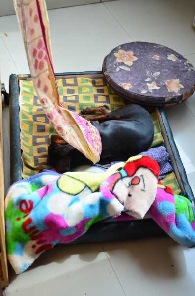 Reminds Me Of Home Everytime :)