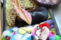 Reminds me of home everytime :)