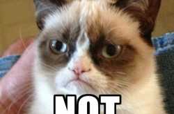 Reminiscence (Part-1) I M BACK!