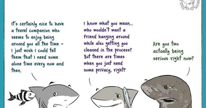 Remoras, Pilots And Copepods