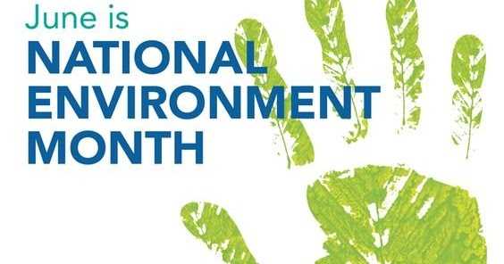 Remove Plastic- Own A Cup Instead!