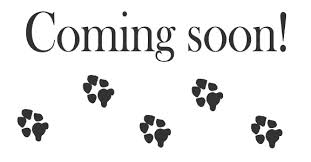 Resources- Coming Soon