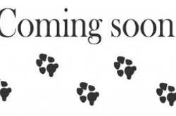 resources- coming soon