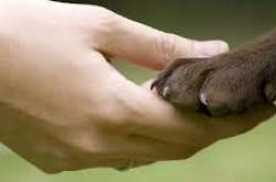 Resources For You And Your Pets