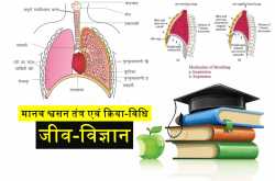 Respiratory System Of Human And Mechanism of Respiration in Hindi