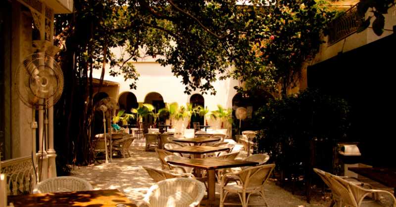 Restaurant Review: Olive Bar & Kitchen, Near Qutub Minar, Mehrauli