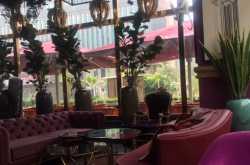 Restaurant Review - Plum by Bent Chair 