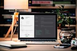 Resume Lite - One Page Resume Blogger Template