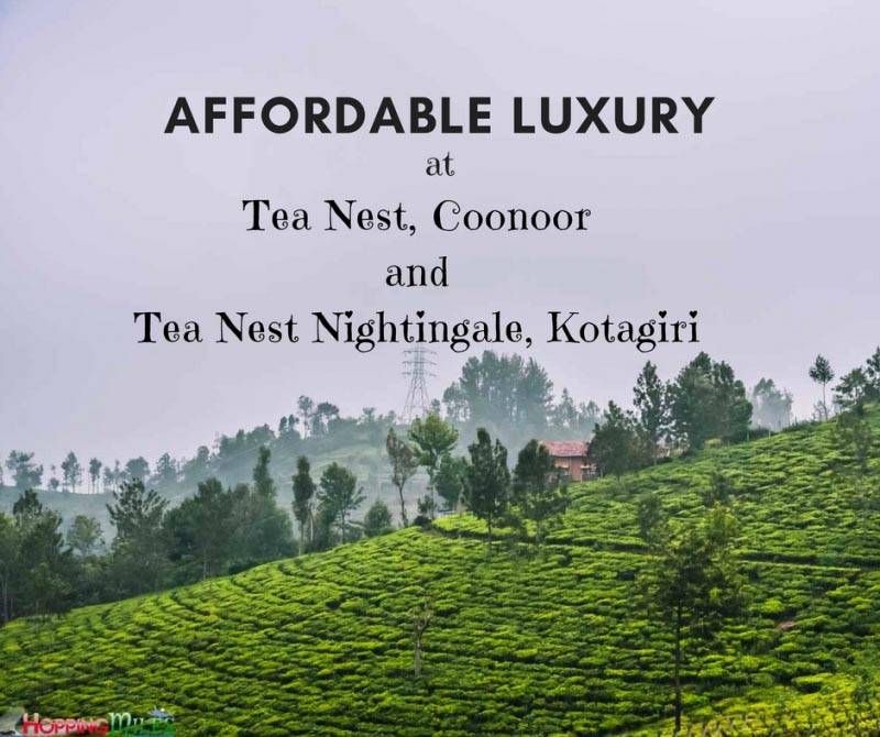 Review: Affordable Luxury @ Tea Nest, Coonoor And Tea Nest Nightingale, Kotagiri