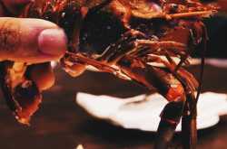 Review: Novotel Clarke Quay’s Special Seafood Buffet