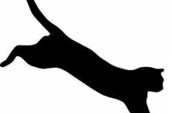 Review - St. Botanica’s Pink GrapeFruit   Vitamin C Shower Gel