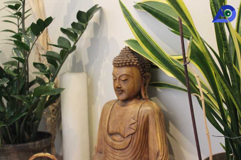 Review: The Beehive Hotel & Hostel, Rome | Awara Diaries