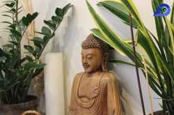 Review: The Beehive Hotel & Hostel, Rome | Awara Diaries