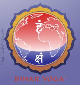 Review > Why Everyone Needs To Have The Bihar Yoga App