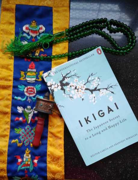 Review Of Ikigai #ReadBravely #ReadingChallenge