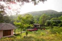 Review of Tropical Rain Forest Resort - Homestay in Sakleshpur | Resorts in Sakleshpur | Coffee Estate