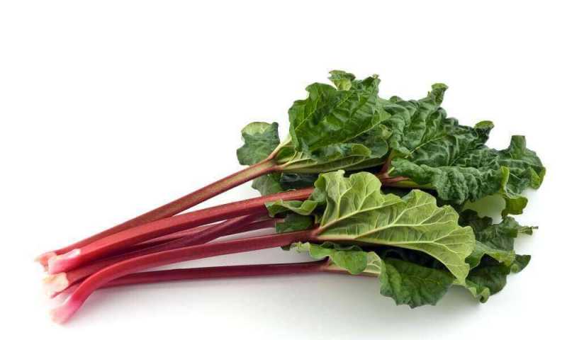 Rhubarb (Benefits, Leaves, Poison, Growing, Nutrition, Taste And Recipe)