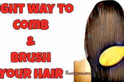 Right Way to Comb & Brush Your Hair - FundeGuru
