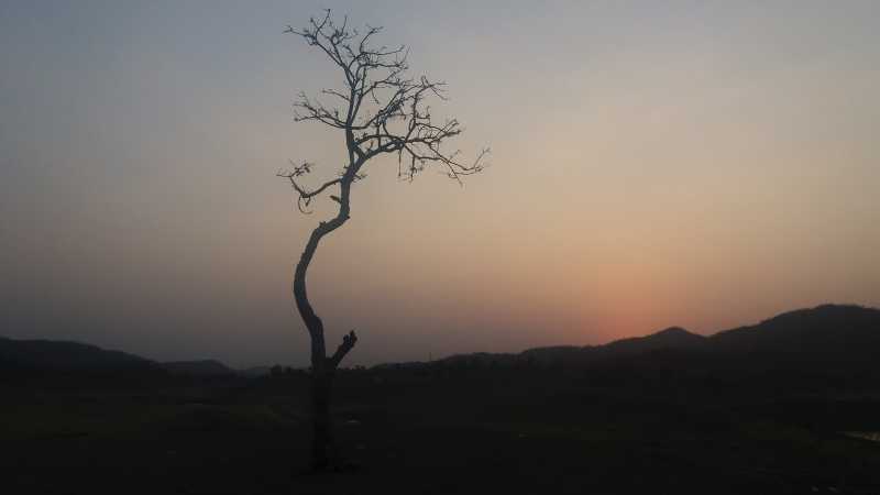 Right To Question Must Be Made Fundamental To Make Government Responsible