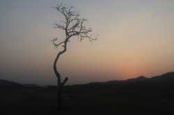 Right to Question must be made fundamental to make Government Responsible