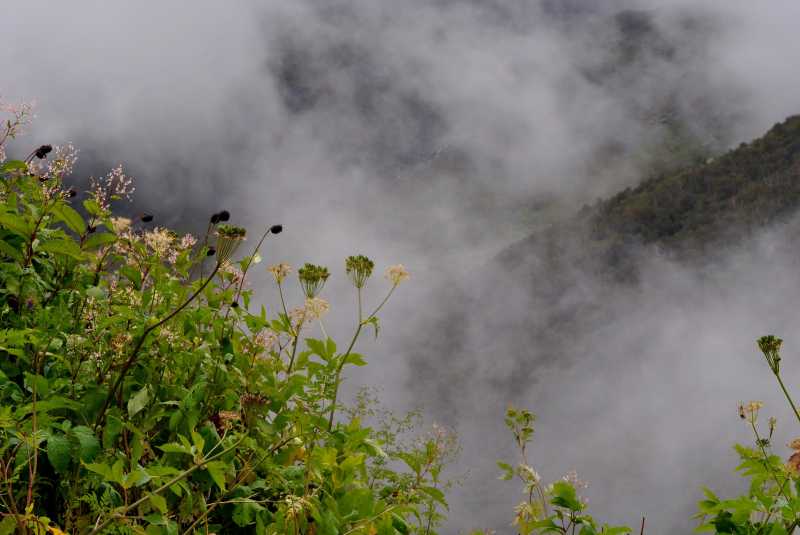 Rise Up #AtoZchallenge : Kalpanaawrites Haiku Women