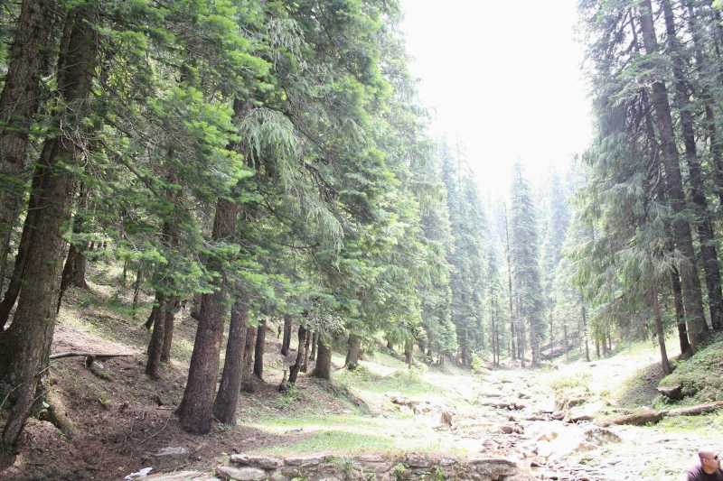 Road Journey To Paradise……………….